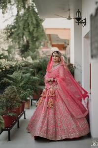 Photos by Safarsaga Films